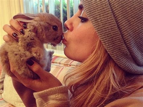 Cara Delevingnes Rabbit Cecil Has 73k Instagram Followers