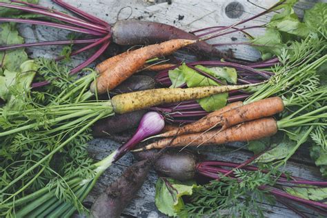 Alte Gemüsesorten neu entdeckt - Ernährung - | ||| | || CODECHECK.INFO