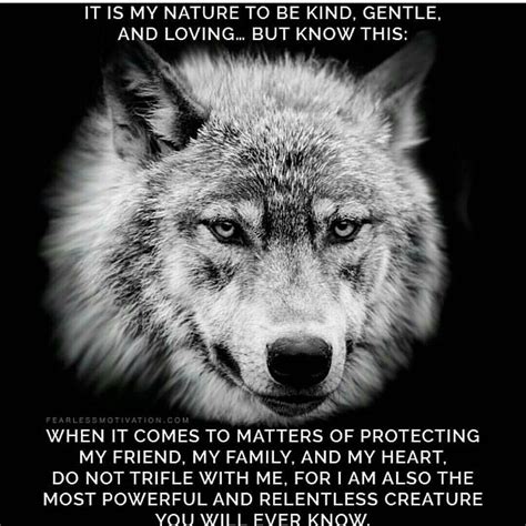 Pin By Jay On The Fact Is Wolf Pack Quotes Wolf Quotes Lone Wolf