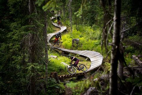A Wooden Mountain Bike Trail Winds Through Dense Vegetation Vacation