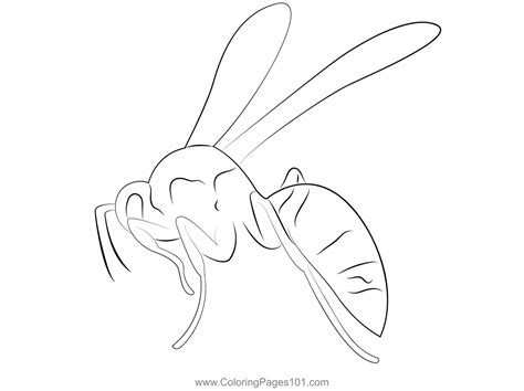 Yellow Paper Wasp Coloring Page For Kids Free Wasps Printable