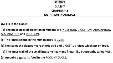 Science Class 7 Chapter 2 Nutrition In Animals Question Answers
