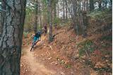 Mountain Bike Park Pictures