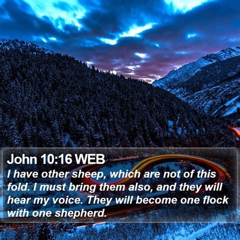John 1016 Web I Have Other Sheep Which Are Not Of This Fold I