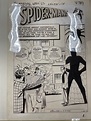 How to View Steve Ditko's Original Spider-Man art at the Library of ...