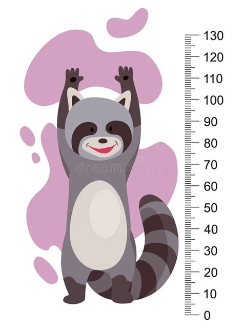 Height Measure With Growth Ruler Chart With Cute Cartoon Raccoon Animal