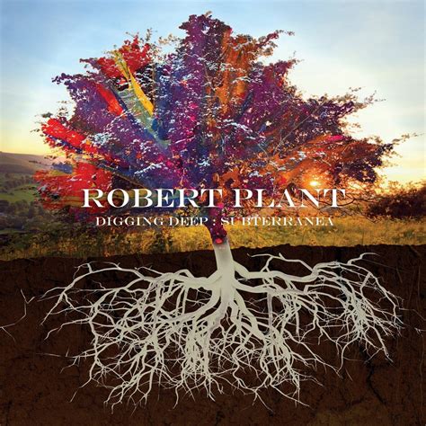 Robert Plant Cd Digging Deep Subterranea Musign