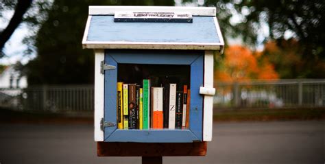 Little Free Libraries Are Adorable Heres How To Start One In Your