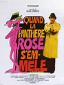 La Pantera Rosa ataca de nuevo (The Pink Panther Strikes Again) (1976 ...