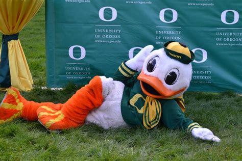 The Duck University Of Oregon Mascot University University University