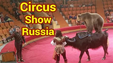 circus show russia youtube