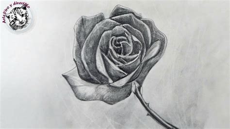 Aprende a dibujar una rosa paso a paso. Como Dibujar una Rosa a Lapiz Facil - YouTube