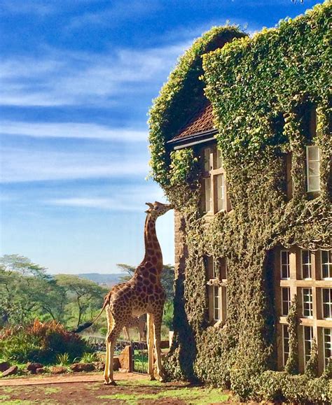 Giraffe Manor Nairobi Kenya Safari Animal Hotel Travel Tourist