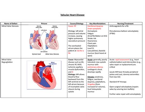 Nur 229 Valvular Heart Disease Chart Valvular Heart Disease Name Of