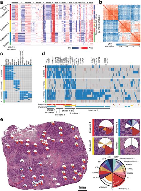Phli Seq Constructing And Visualizing Cancer Genomic Maps In 3d By