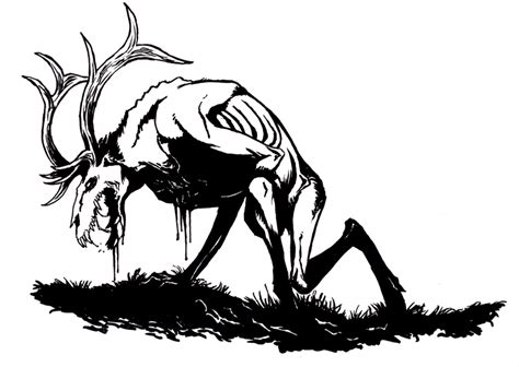Drawings Of Deer Skulls