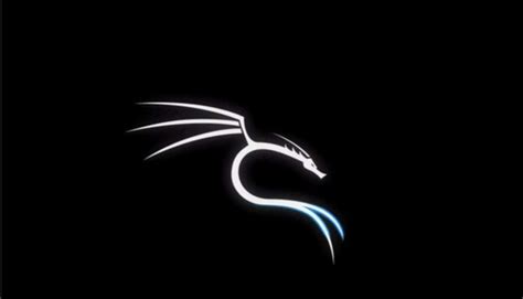 What Is Kali Linux Why Do Hackers Like To Use Kali Linux Itzone