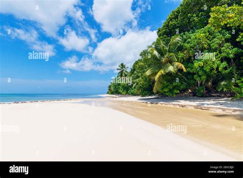 Seychelles Praslin Island Anse Lazio Sandy Beach With Palm Trees