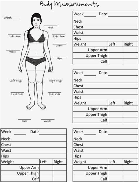 Women S Printable Body Measurement Chart