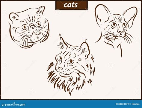 Illustration Shows A Cats Stock Vector Illustration Of Animal 88023679