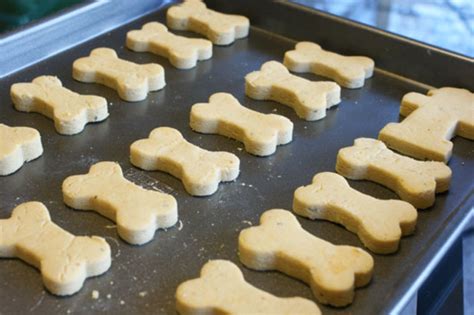 4 Ingredient Dog Biscuits Easy Recipes