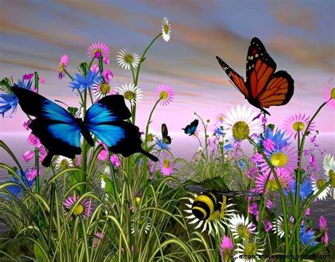 Animated Wallpaper Butterfly Important Wallpapers