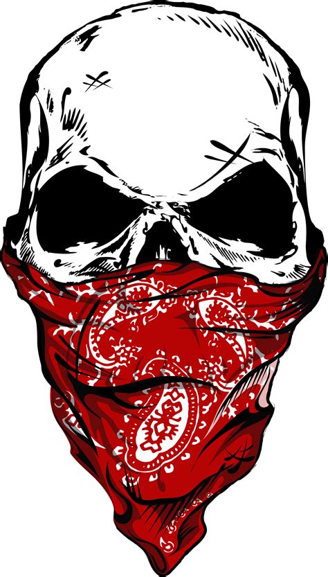 Download Skull With Red Bandana Clipart 5682305 Pinclipart