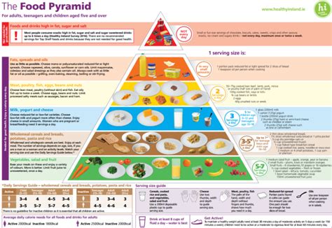 The New Food Pyramid More Fruit And Veg Fewer Carbohydrates And No