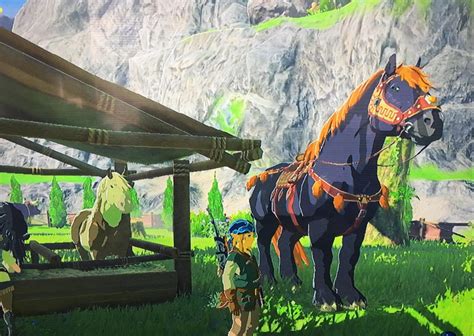 Top 5 Botw Best Horses And How To Get Them Gamers Decide