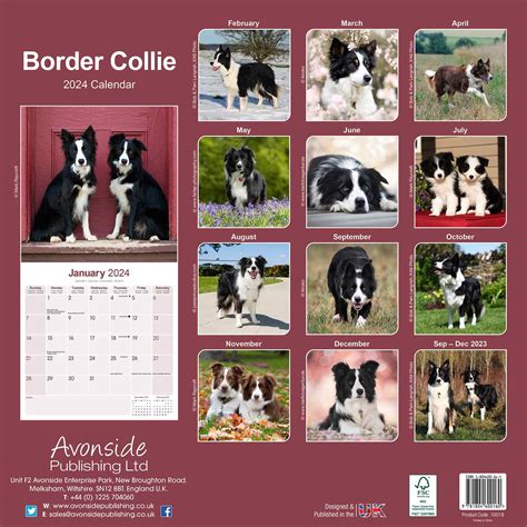 Border Collie Calendar Dog Breed Calendars Pet Prints Inc