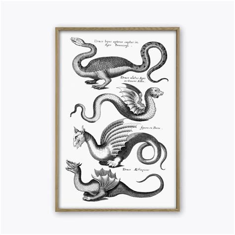 Dragon Print Antique Dragon Wall Art Decor Dragon Poster Etsy