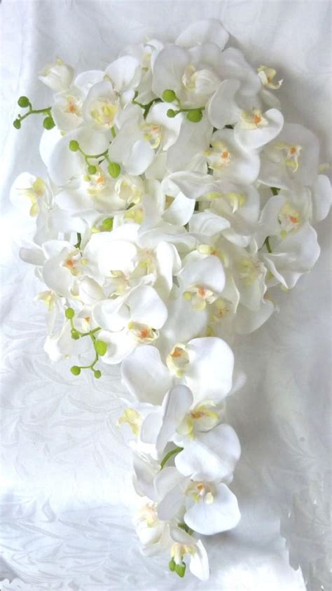 Cascading White Orchid Bouquet And Boutonniere Phalaenopsis Destination