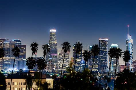 Los Angeles Skyline And Palm Trees Stock Photo Image Of Landmark