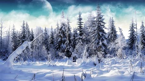 🥇 Landscapes Winter Trees Moon Wallpaper 15973