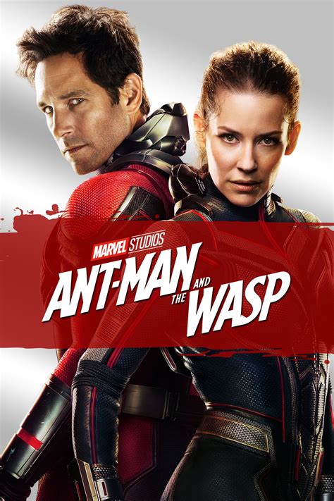 My Review Of Ant Man And The Wasp Fimfiction