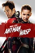 My Review of Ant-Man and the Wasp - Fimfiction
