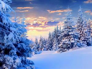 Winter, Snow, Trees, Sky, Sunset, Nature, Landscape