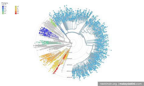 Malaysia Has Seen Covid 19 Mutations Warns Of Aggressive Infectivity