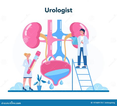 Urologist Concept For Web For Cystitis Urolithiasis Nephroptosis