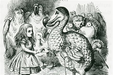 The Many Images Of Alice In Wonderland Uf Special Collections Blog