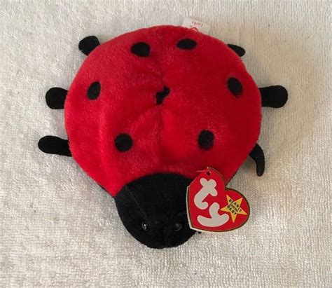 Ty Beanie Baby Lucky The Ladybug With Spots Plush Toy For Sale Online