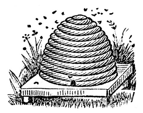 Beehive Images For Bee Hive In Tree Clip Art Clipartix