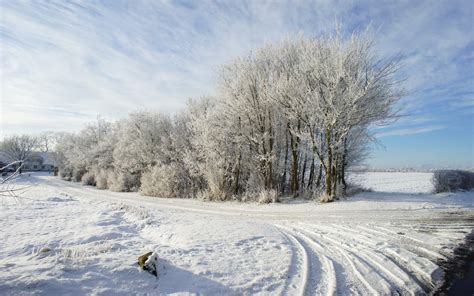 46 Snowy Fields Wallpaper