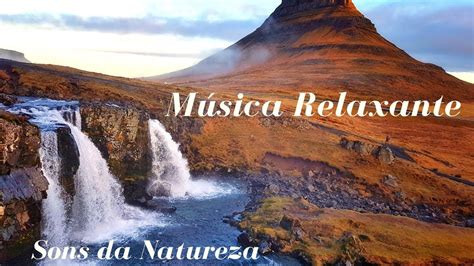 Listen to sons da natureza: Música Relaxante com sons da Natureza - YouTube