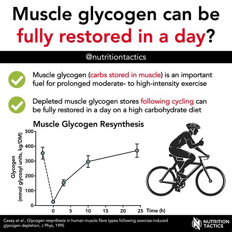 Muscle Glycogen Can Be Fully Restored In A Day