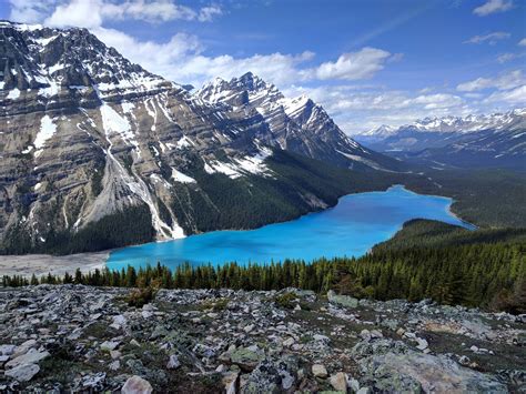 Фото Peyto Lake Banff National Park Canadian Rockies бесплатные