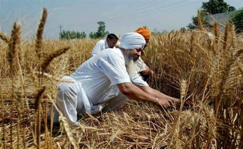 Farmers' groups fear the new changes could cause existing notified. Commission agents furious over direct payment to Punjab ...
