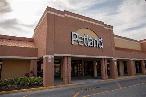 Petland Sarasota - Pet Shops Sarasota Florida