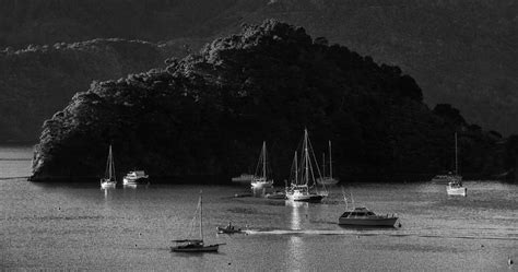 Queen Charlotte Sound Photograph By Nigel Forster Pixels