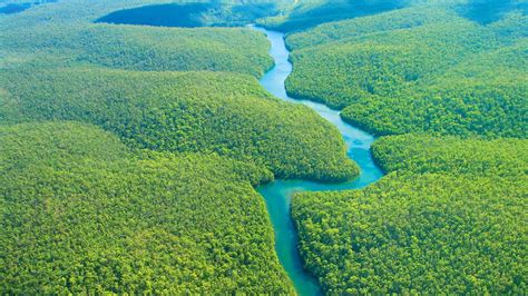 Unforgettable 15 Places Of Lifetime For Travelling 7 Amazon Rainforest